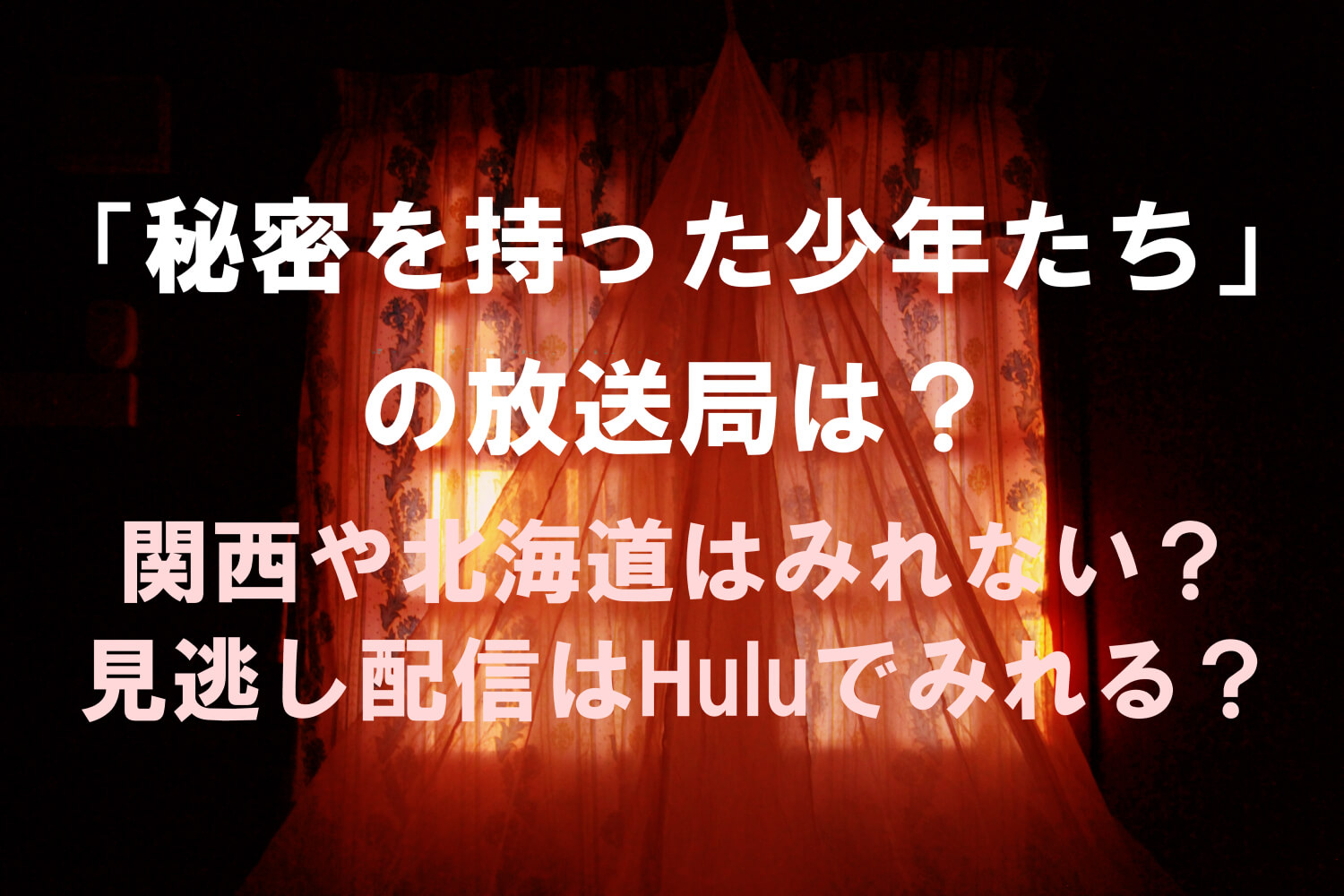 秘密を持った少年たちの放送局　関西や北海道はみれない？見逃し配信はHuluでみれる？